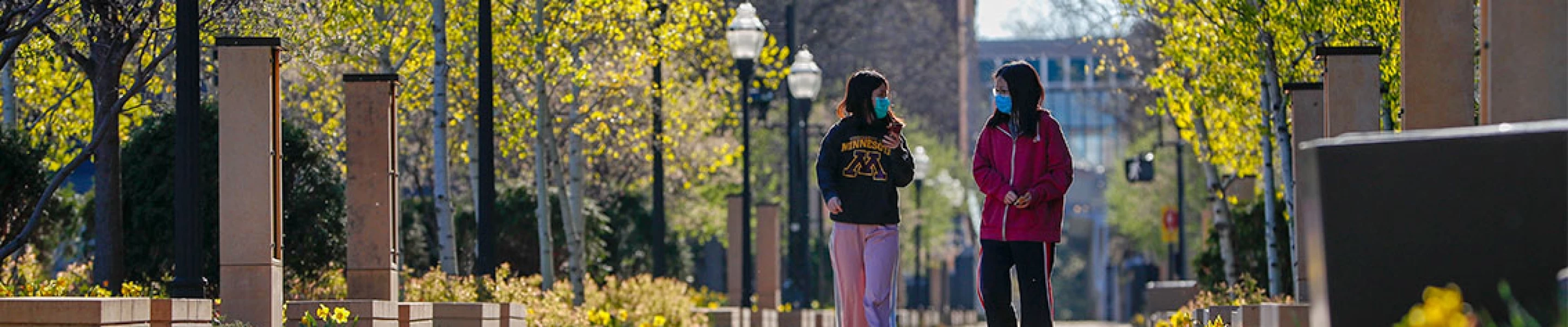 University of Minnesota Twin Cities in USA University of Minnesota Twin Cities in USA